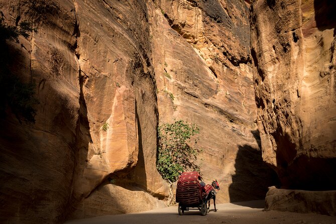 3-Day Petra and Wadi Rum Tour from Tel Aviv - Shobak Castle and the road to Wadi Musa
