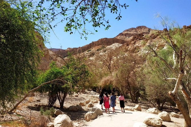 4WD Masada Ein Gedi Judea desert Dead Sea adventure 4x4 Tour. - Masada: a mountain visit with a cable car and a walk