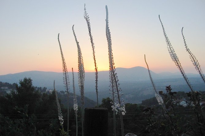 A Day of Spiritual Discovery in the Upper Galilee - Why Safed is the right place for this subject