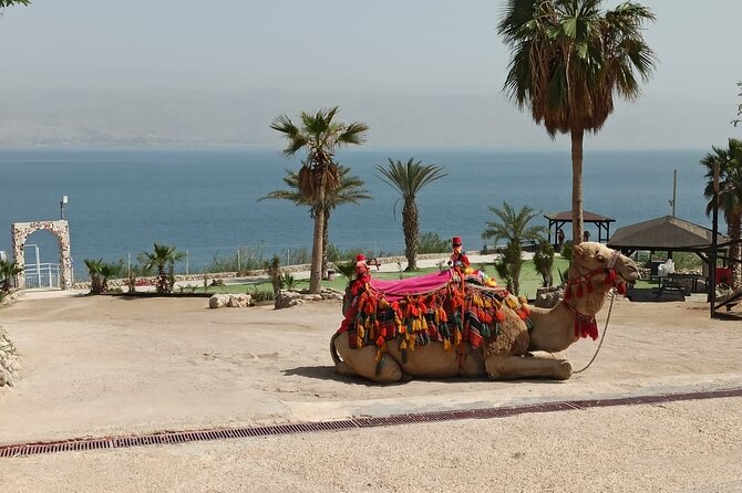 Bethlehem & The Dead Sea Full Day Tour from Jerusalem/TLV - Why this Bethlehem and Dead Sea combination works