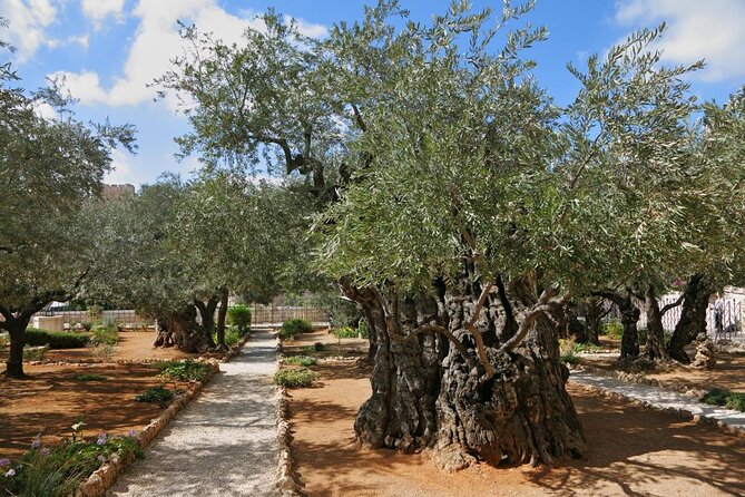 Day Tour Cruises Ashdod Port Jerusalem & Dead Sea or Bethlehem - Key Points at a Glance