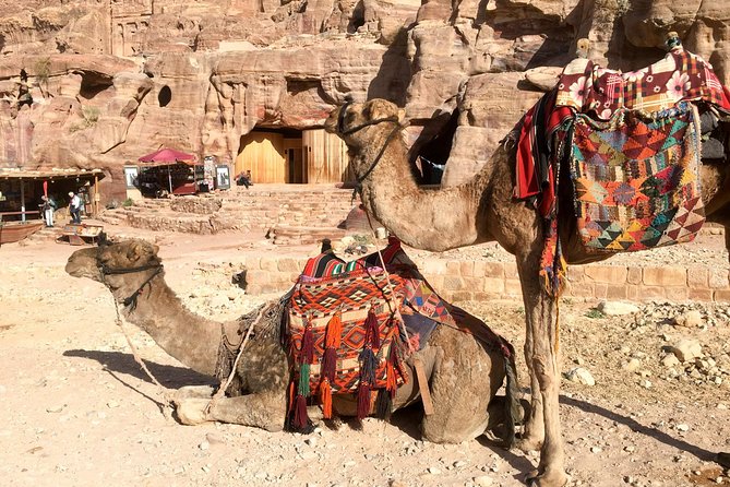 Day Tour to Petra by Bus from Tel Aviv - The 2:00 am departure from Tel Aviv