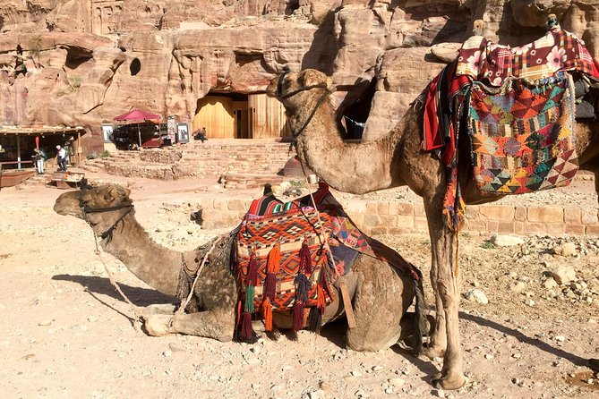 Day Tour to Petra from Eilat - Is $219 good value?