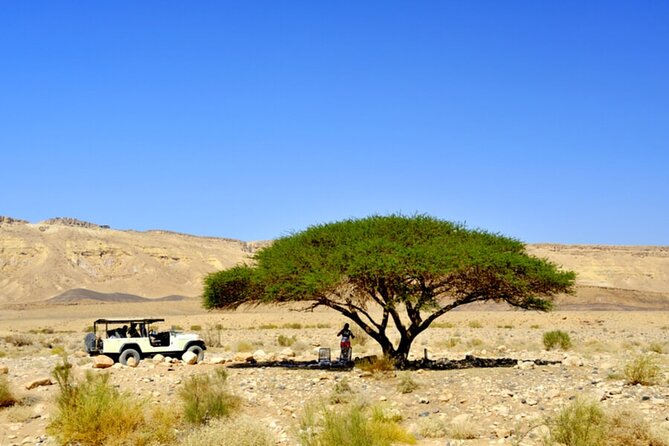 Desert Safari and Dead Sea Day Trip from Tel Aviv - Passing the Inn of the Good Samaritan