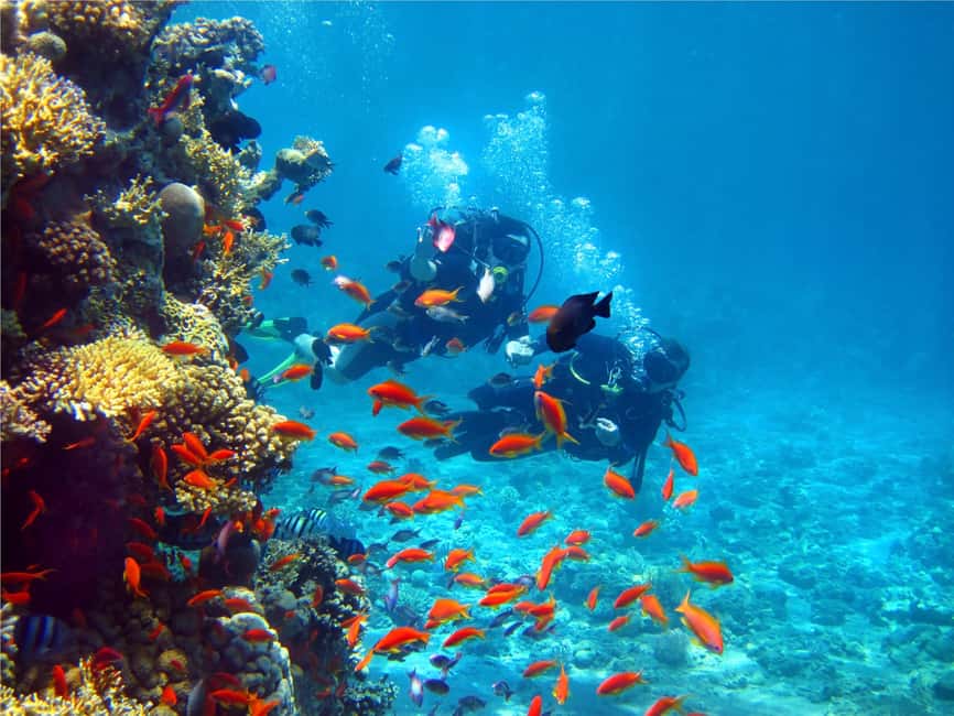 Eilat: Intro to Diving with Certified Instructor - Should you book Aqua Star’s Eilat introduction?