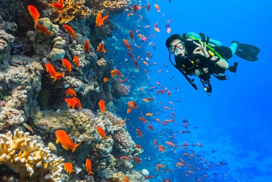 Eilat: Intro to Diving with Certified Instructor - Practical advice for getting the most from the session