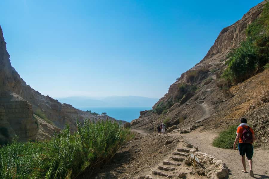 From Jerusalem: Masada at Sunrise, Ein Gedi & Dead Sea Tour - Ein Gedi, the oasis that changes with conditions