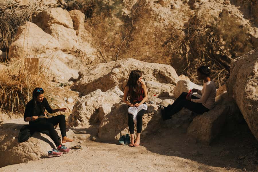 From Jerusalem: Masada at Sunrise, Ein Gedi & Dead Sea Tour - What the $106 price really covers
