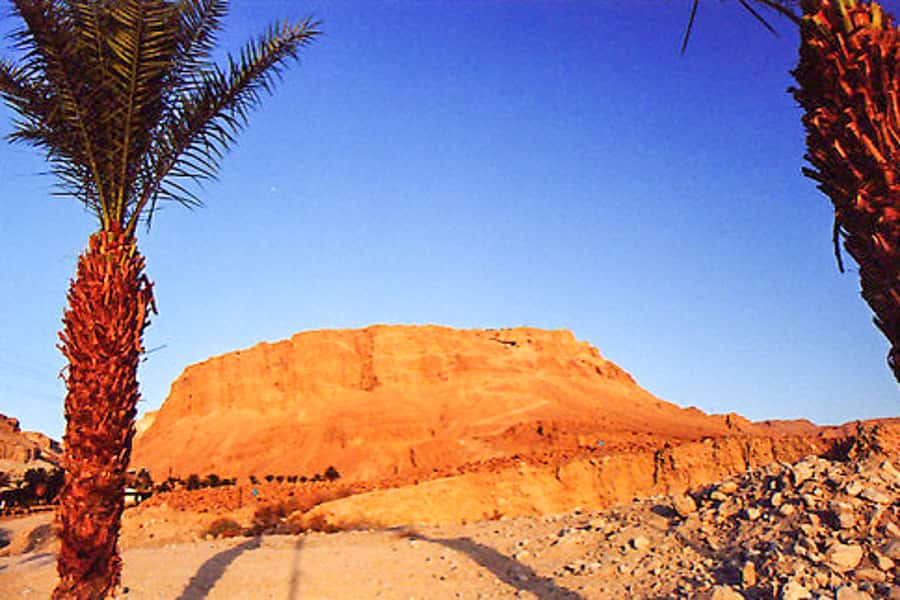 From Jerusalem: Masada&Dead Sea Tour INCLUDING ENTRANCE FEES - Riding the cable car to Masada