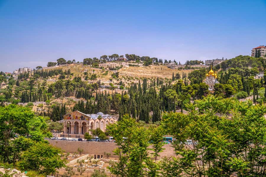 From Jerusalem Small group tour Old&New City ENTRY FEES INCL - Why this Jerusalem tour works for a one-day visit