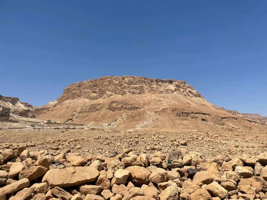 From Jlm : Masada Dead Sea Small Group Tour INCL. ENTRY FEES - Timing, languages, and the rhythm of the day