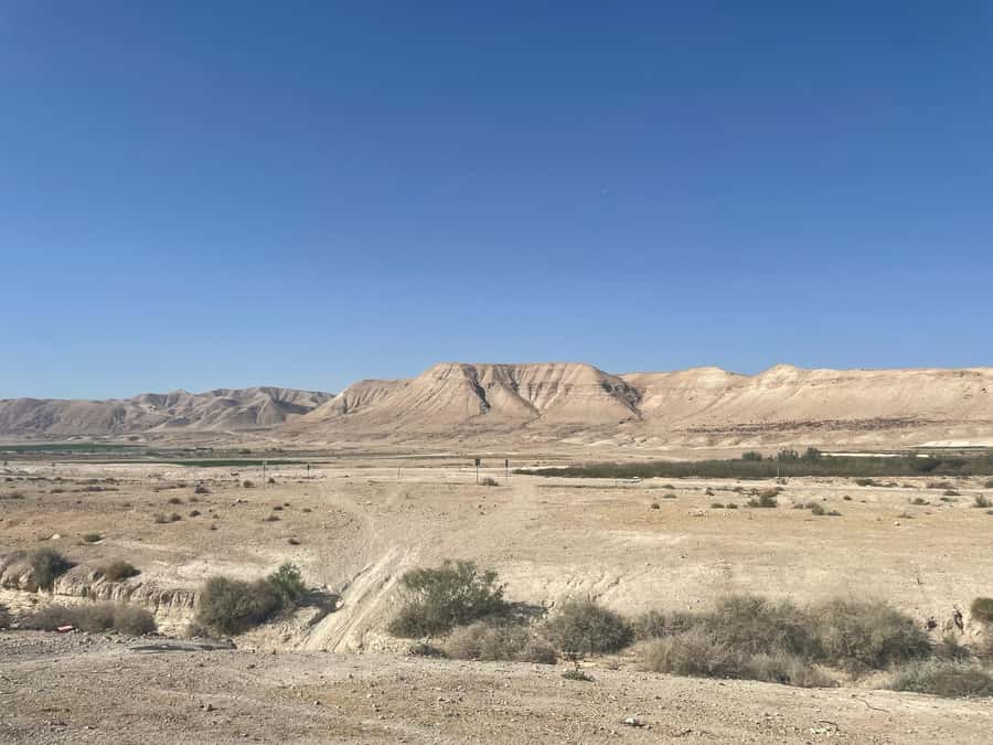 From Jlm : Masada Dead Sea Small Group Tour INCL. ENTRY FEES - Should you book the Masada and Dead Sea tour?