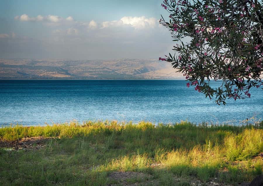 From Tel Aviv: Christian Galilee and Nazareth Day Trip - Who should book this Christian Galilee tour?