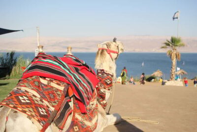 Dead Sea Self-Guided Chill-Out Day Trip