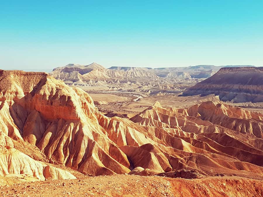 From Tel Aviv: Dead Sea Visit & Desert Safari - Why guide Ali matters to the safari