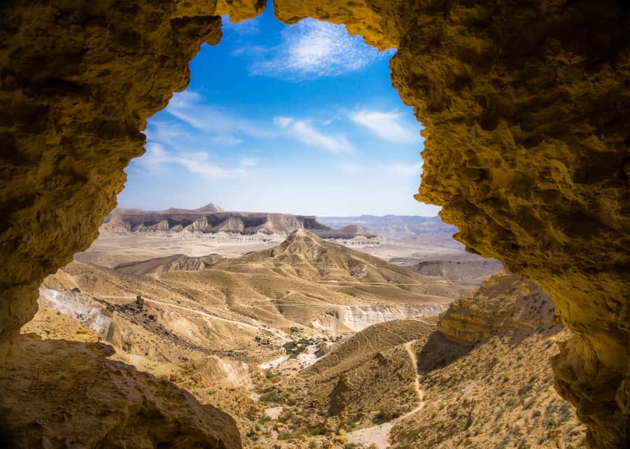 From Tel Aviv: Dead Sea Visit & Desert Safari - Who will enjoy this day most?