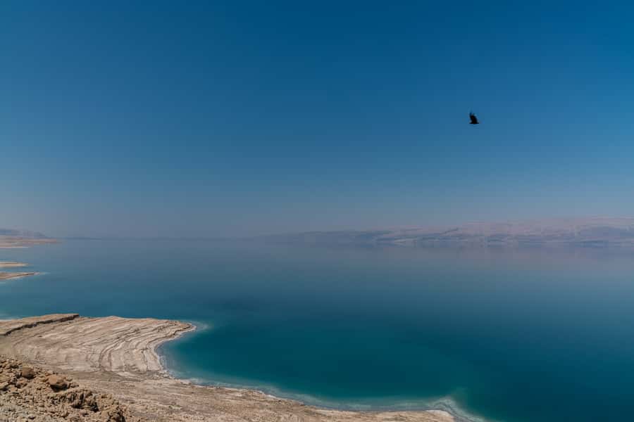 From Tel Aviv: Dead Sea Visit & Desert Safari - Practical preparation for a smoother day