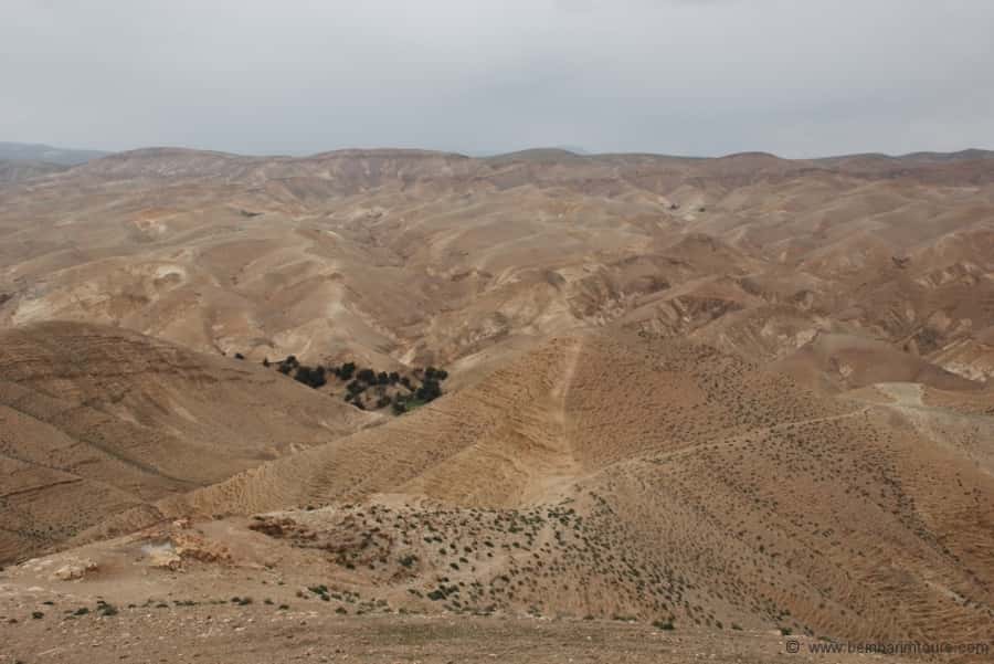 From Tel Aviv: Dead Sea Visit & Desert Safari - The Inn of the Good Samaritan and the road below sea level