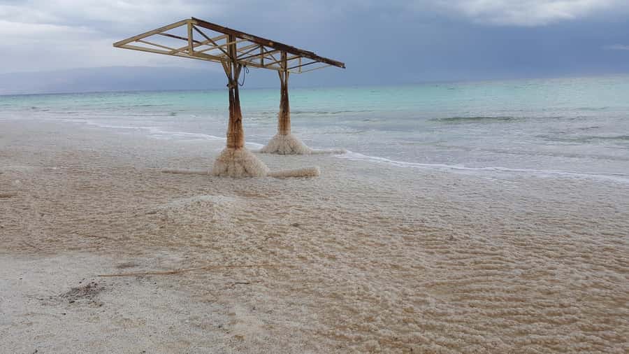 From Tel Aviv: Full-Day Dead Sea Relaxation Tour - Ein Gedi and the greener side of the desert