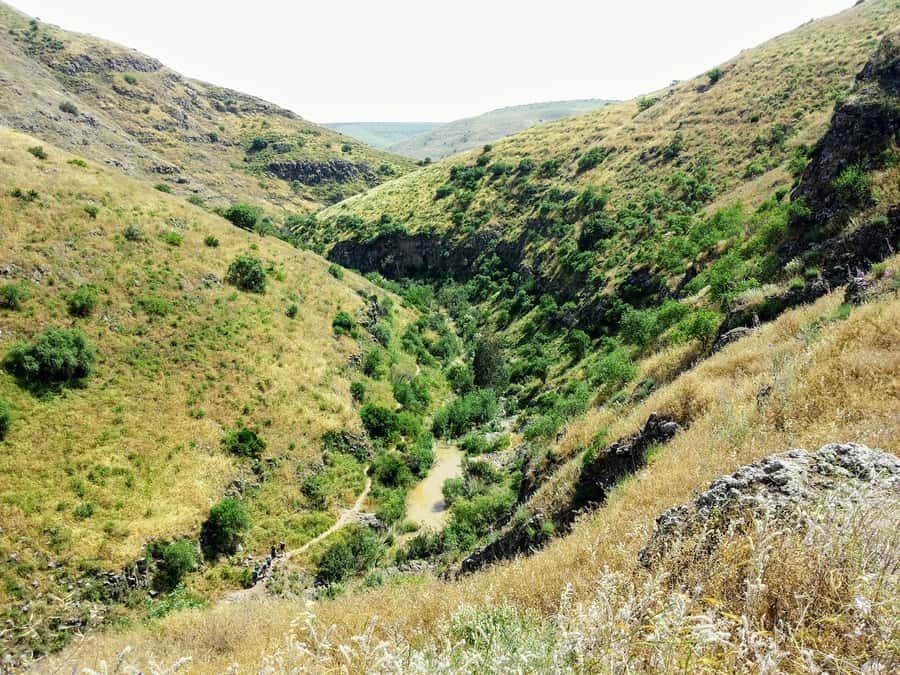 From Tel Aviv: Golan Heights Tour - Shalom Observatory and the value of a good guide