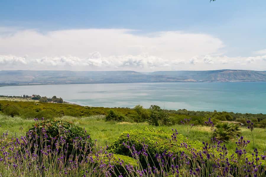 From Tel Aviv: Magdala, Mount of Beatitudes, and Cana Tour - What the $105 price includes