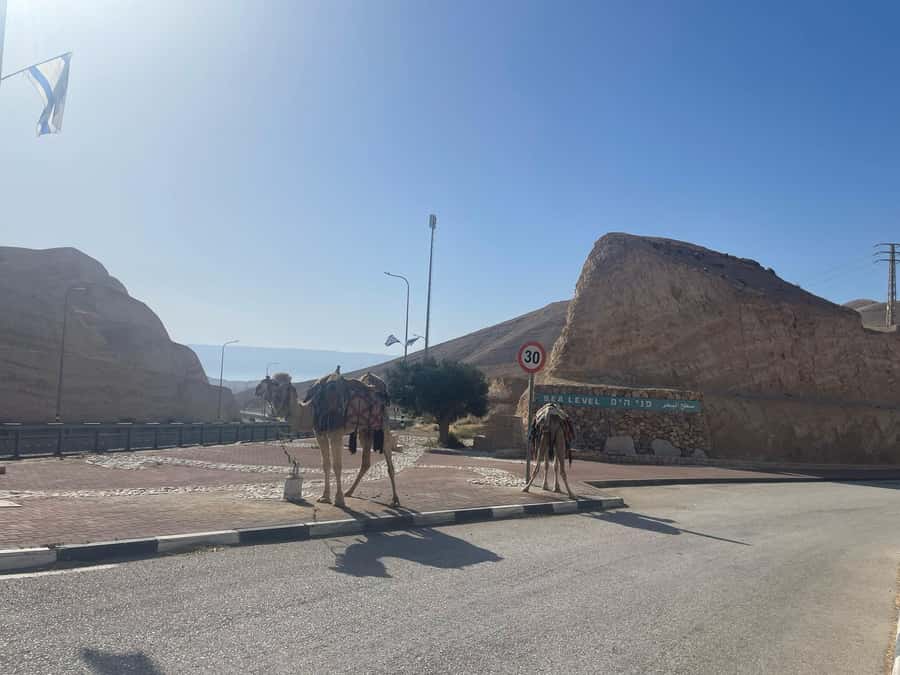 From Tel Aviv: Masada &Dead Sea Tour INCLUDING ENTRANCE FEES - Who will enjoy this tour most