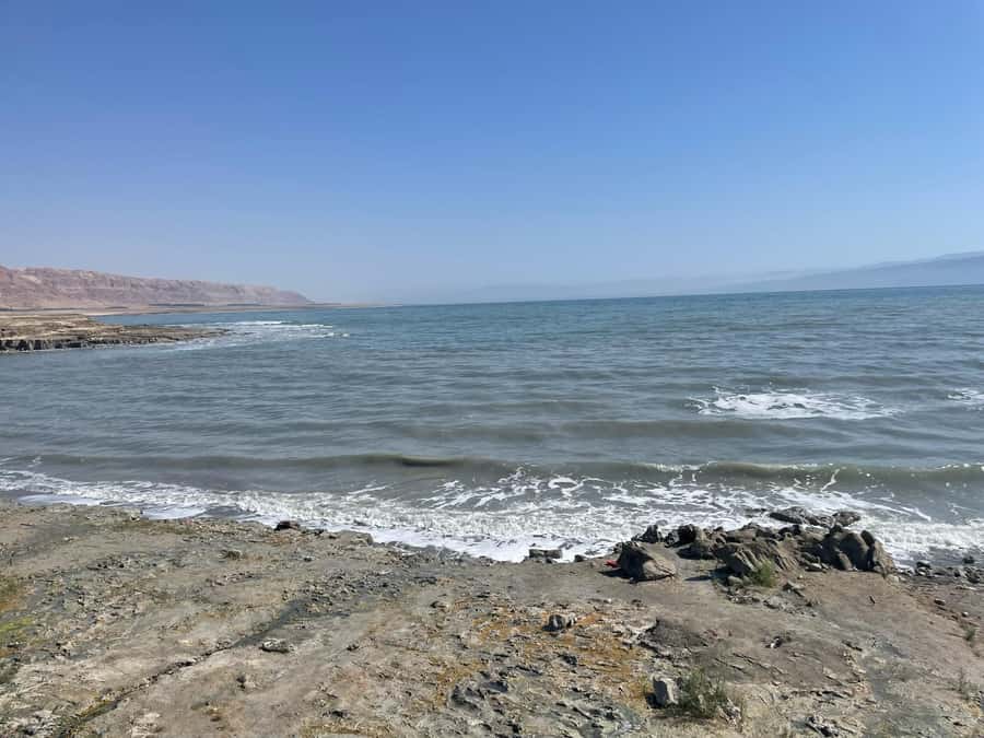 From Tel Aviv: Masada &Dead Sea Tour INCLUDING ENTRANCE FEES - Small details that improve the day