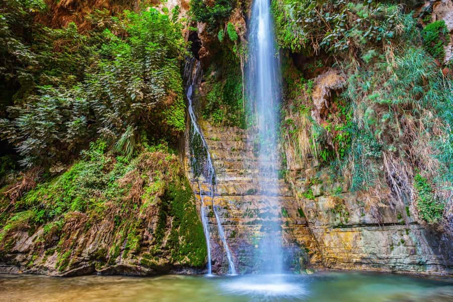 From Tel Aviv: Masada, Ein Gedi & Dead Sea Tour - What the bus ride and timing are really like