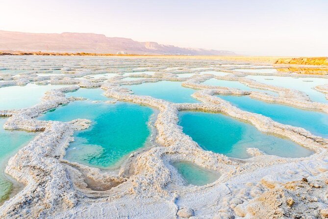 From Tel Aviv: Masada Sunrise, Ein Gedi & Dead Sea - What makes Ein Gedi different