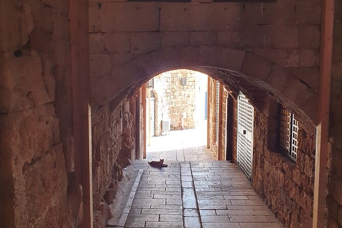 Full-Day Private Tour from Haifa to Old City of Acre - Mount Carmel gives you the right start