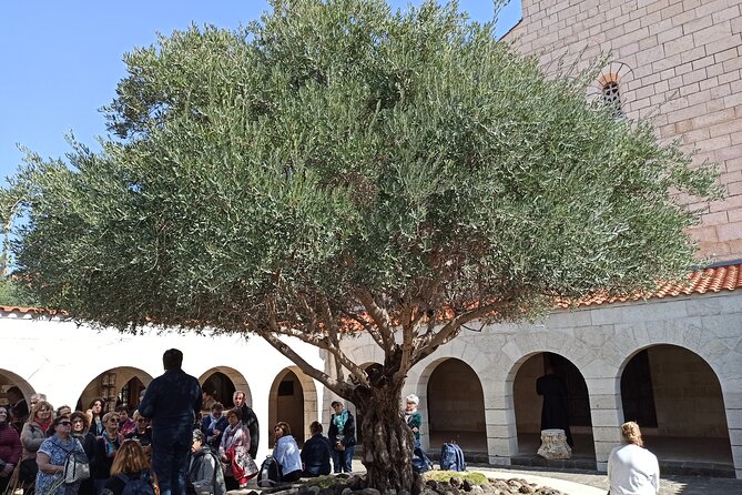 Full Day Tour to Nazareth and the Sea of Galilee - Tabgha and two stories beside the water