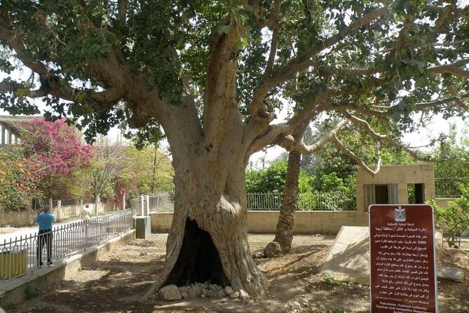FullDay Bethlehem Jericho Guided Tour From Jerusalem -small group - Manger Square and the Church of the Nativity