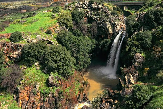 GoKedem 5-Day Private All-Inclusive Cross-Israel Adventure - The five details that shape the experience
