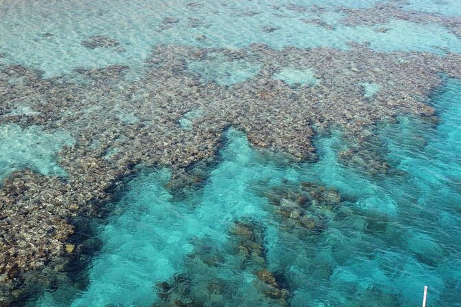 Introductory Dive in Eilat - From the beach to six meters underwater