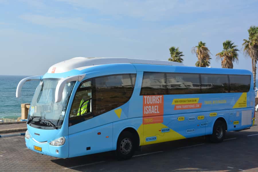 Jerusalem: Masada, Ein Gedi & Dead Sea Tour - Ein Gedi: a green break in dry country