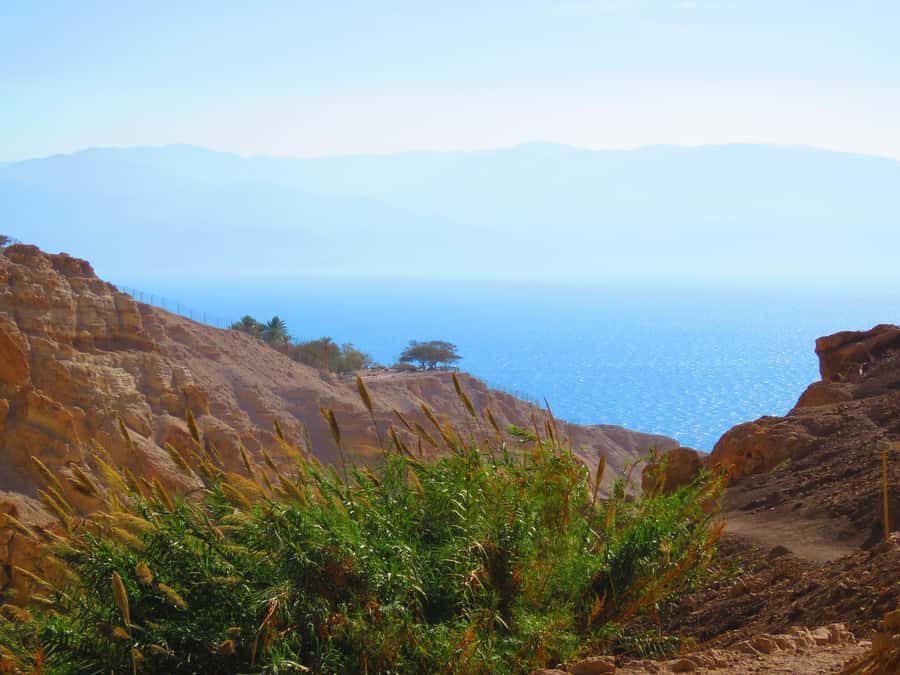 Jerusalem: Masada, Ein Gedi & Dead Sea Tour - Timing, crowds, and the one-day tradeoff
