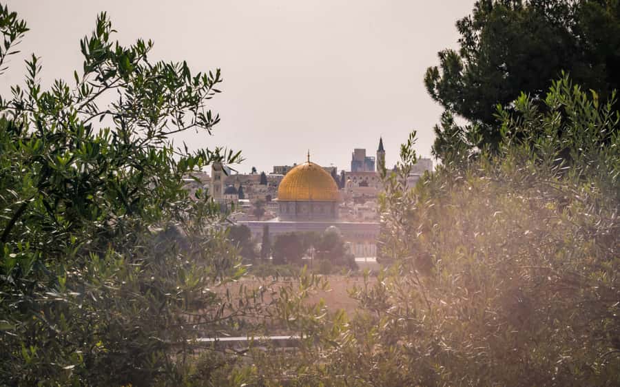 Jerusalem: Mount of Olives Guided Tour - Finishing at Mary’s Tomb
