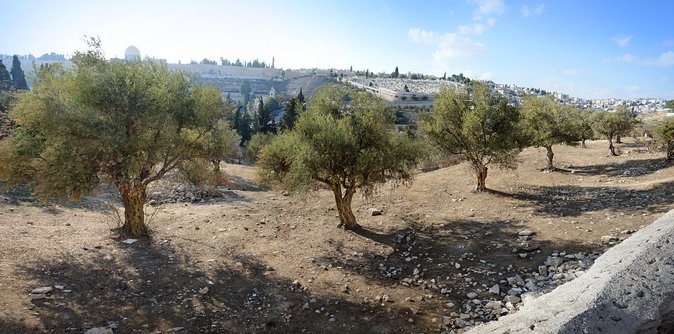 Jerusalem Old City - The Western Wall in a 20-minute visit