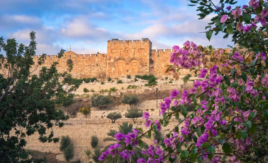 Jerusalem: Old City Morning Tour - Walking conditions, clothing, and comfort