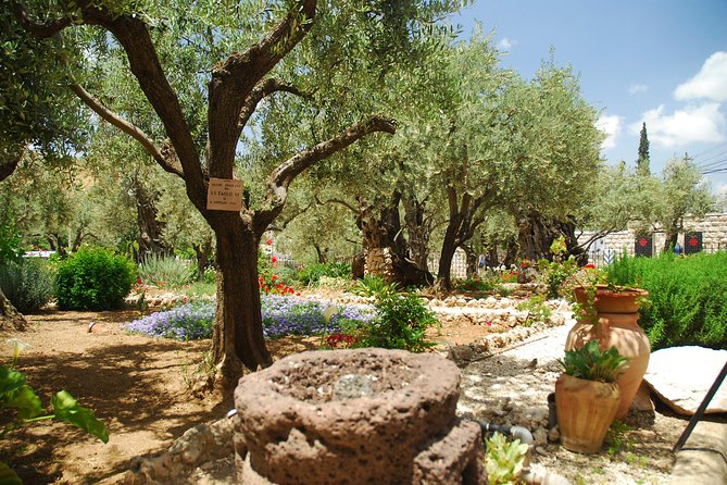 Jerusalem Tour from Tel Aviv: In the Footsteps of Jesus - Walking the first four stations of the Via Dolorosa