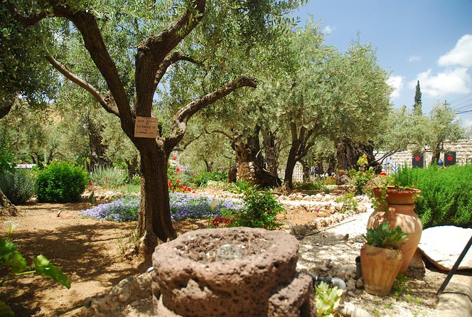 Jerusalem Walking Tour: In the Footsteps of Jesus - What to wear and how to prepare