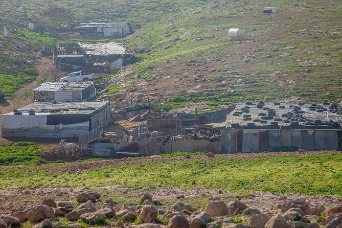 Judean Desert Jeep Adventure from Jerusalem - Side stops, Bedouin encounters, and route changes