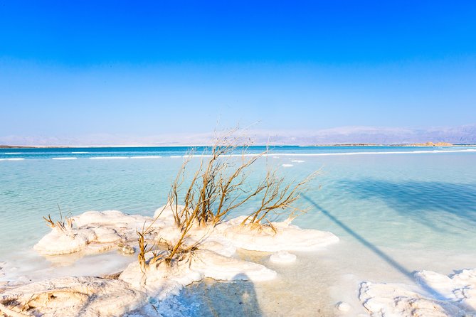 Masada and Dead Sea from Tel Aviv - Timing, booking, and cancellation details