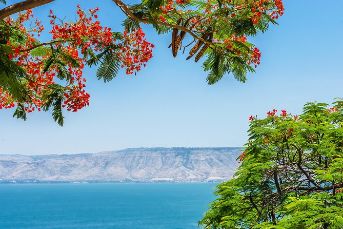 Nazareth and the Sea of Galilee Day Trip from Jerusalem - The road north through Galilee