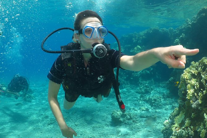PADI Open Water Diver Course - 5 Days Scuba Diving - Equipment, insurance, and refreshments are already covered