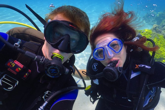 PADI Open Water Diver Course - 5 Days Scuba Diving - Is $551 a fair price?