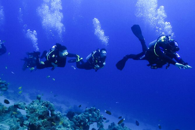 PADI Open Water Diver Course - 5 Days Scuba Diving - Who should book this course?