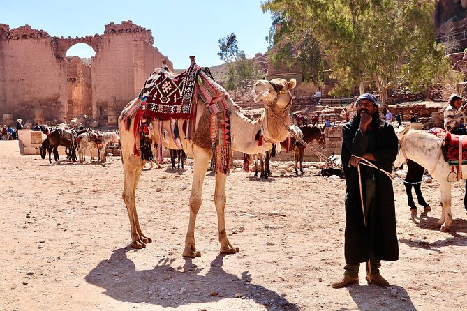 Petra 1-Day Tour from Tel Aviv with FREE Authentic Lunch - The 2.5-hour ride through Jordan