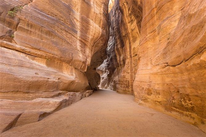 Petra and Wadi Rum 2 day Tour from Eilat - What three hours in Petra can and cannot cover