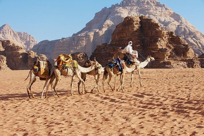Petra & Wadi Rum 3 Days 2 Tour Nights from Eilat border - Wadi Rum by Bedouin jeep